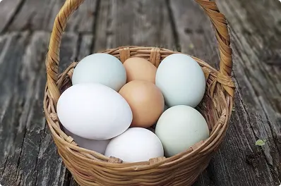 Image of Free Range, Pasture Raised Eggs