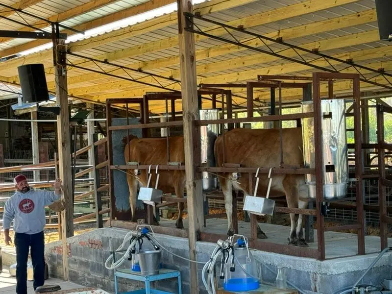 Image of